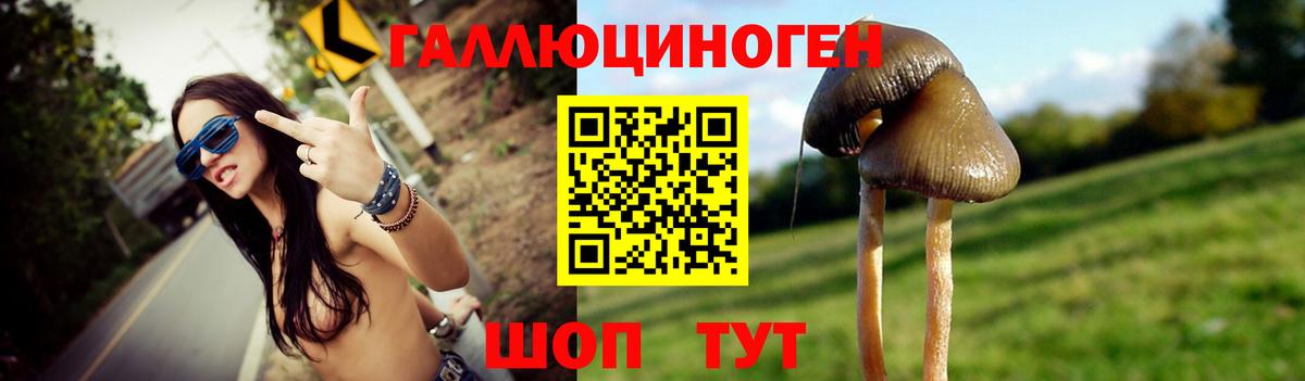 Галлюциногенные грибы Psilocybine cubensis Подольск
